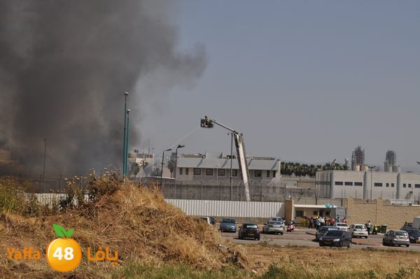 fireramlasejn4288 (33).JPG